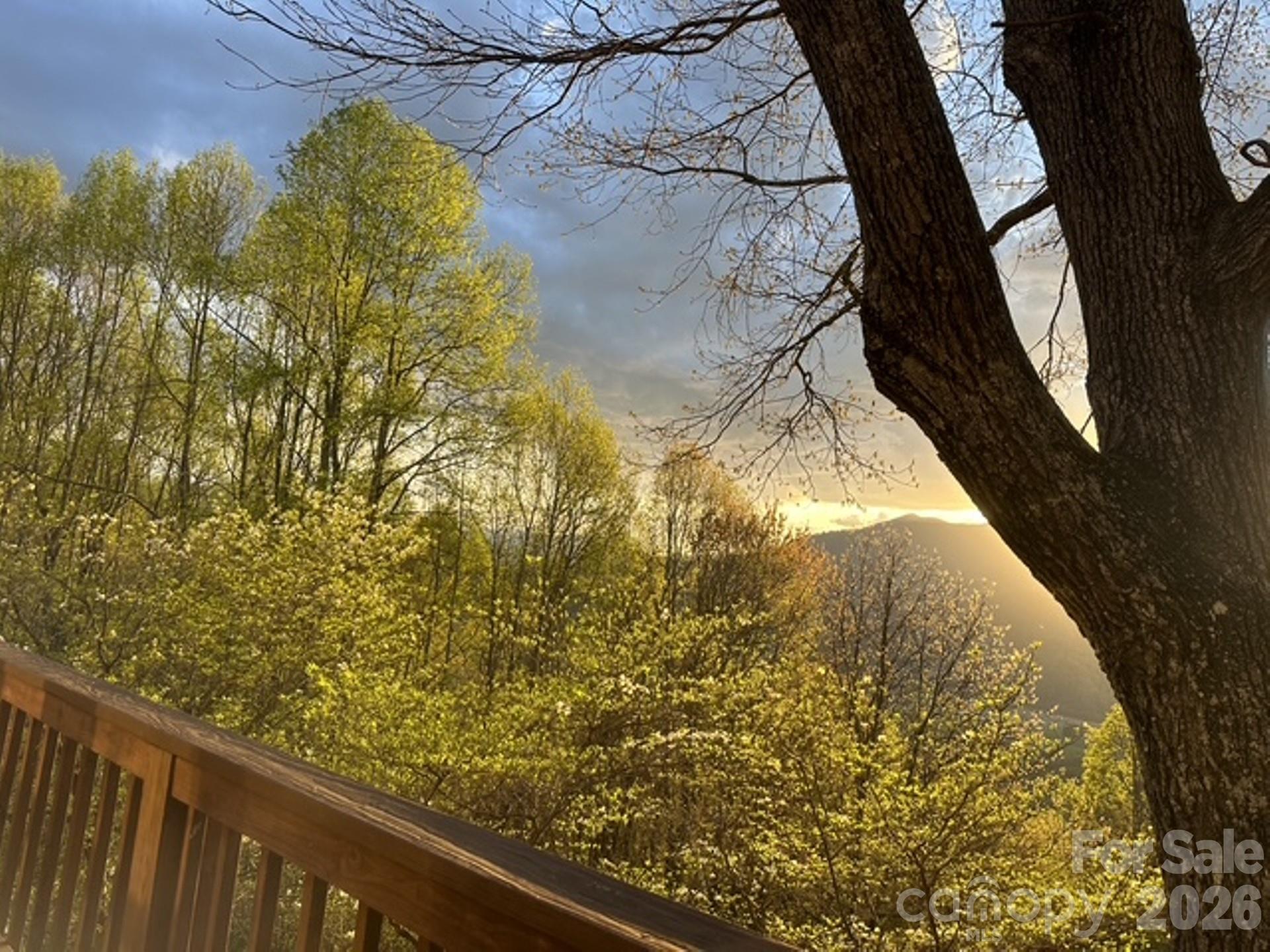 415 Treetop Lane Waynesville NC 28785