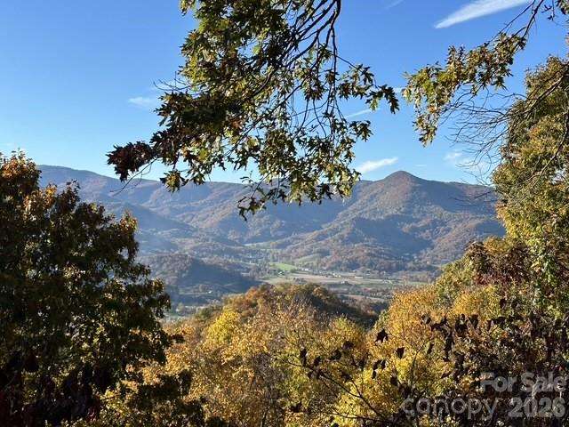 415 Treetop Lane Waynesville NC 28785