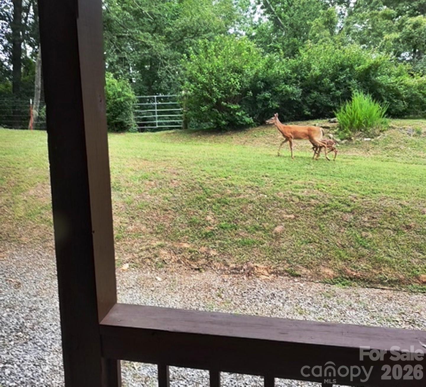 415 Treetop Lane Waynesville NC 28785