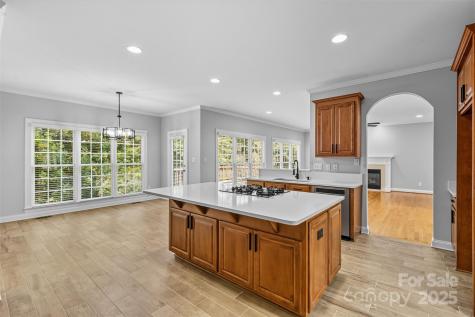 11139 Tradition View Drive Charlotte NC 28269