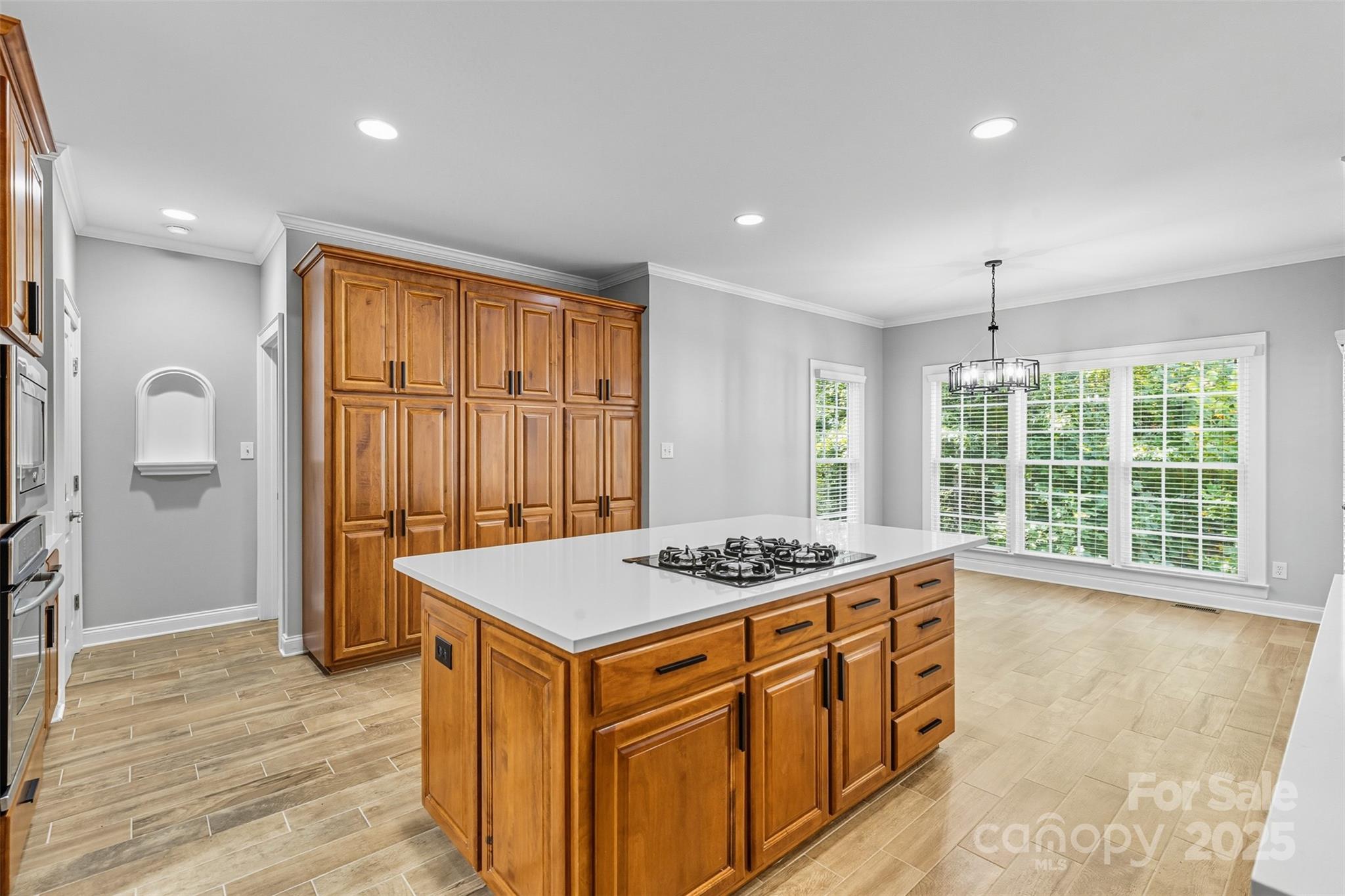 11139 Tradition View Drive Charlotte NC 28269