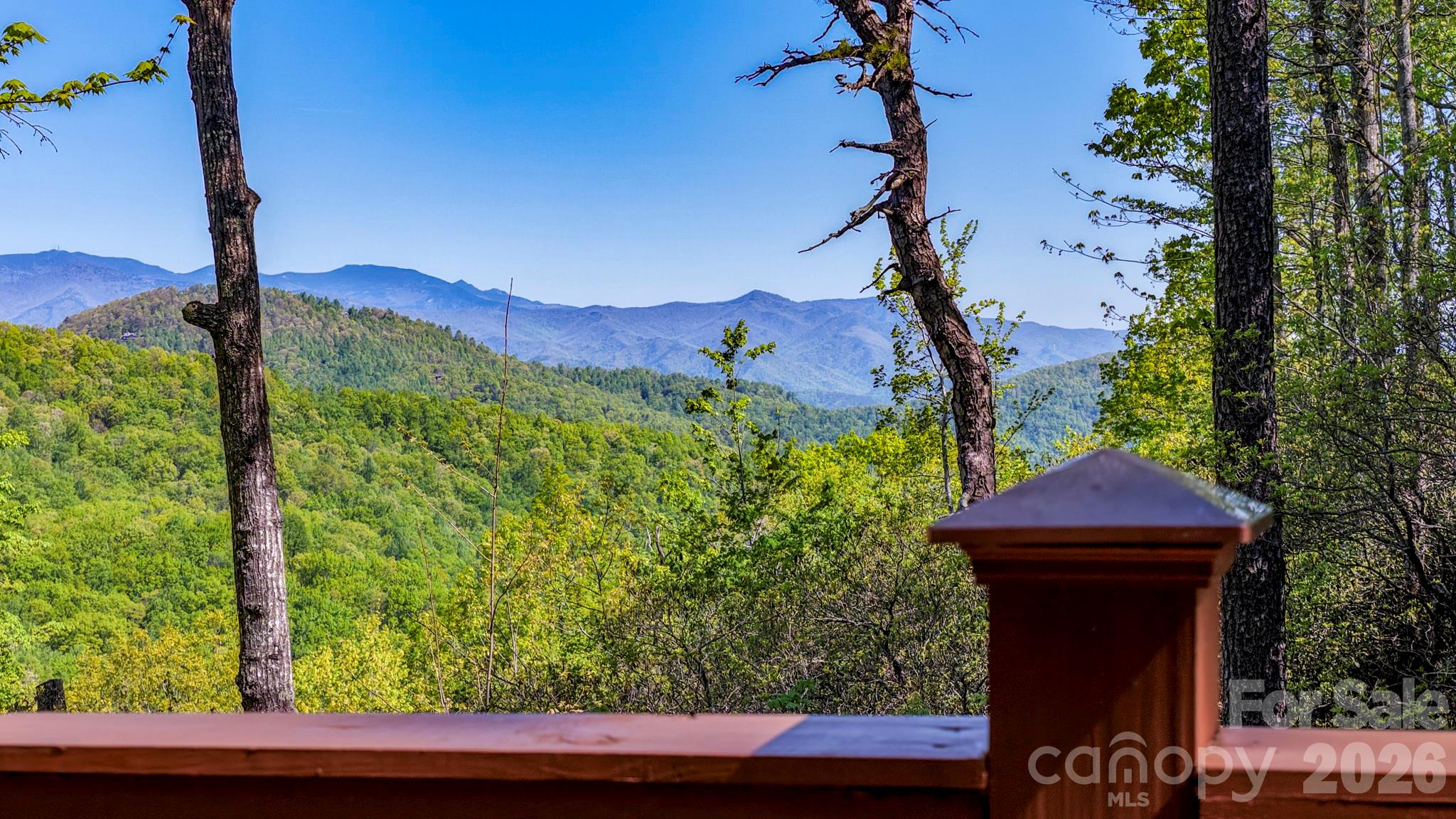 20 Laurel Cottage Lane Black Mountain NC 28711