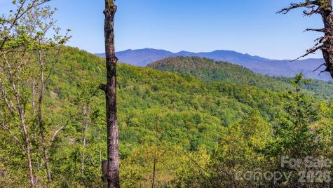 20 Laurel Cottage Lane Black Mountain NC 28711
