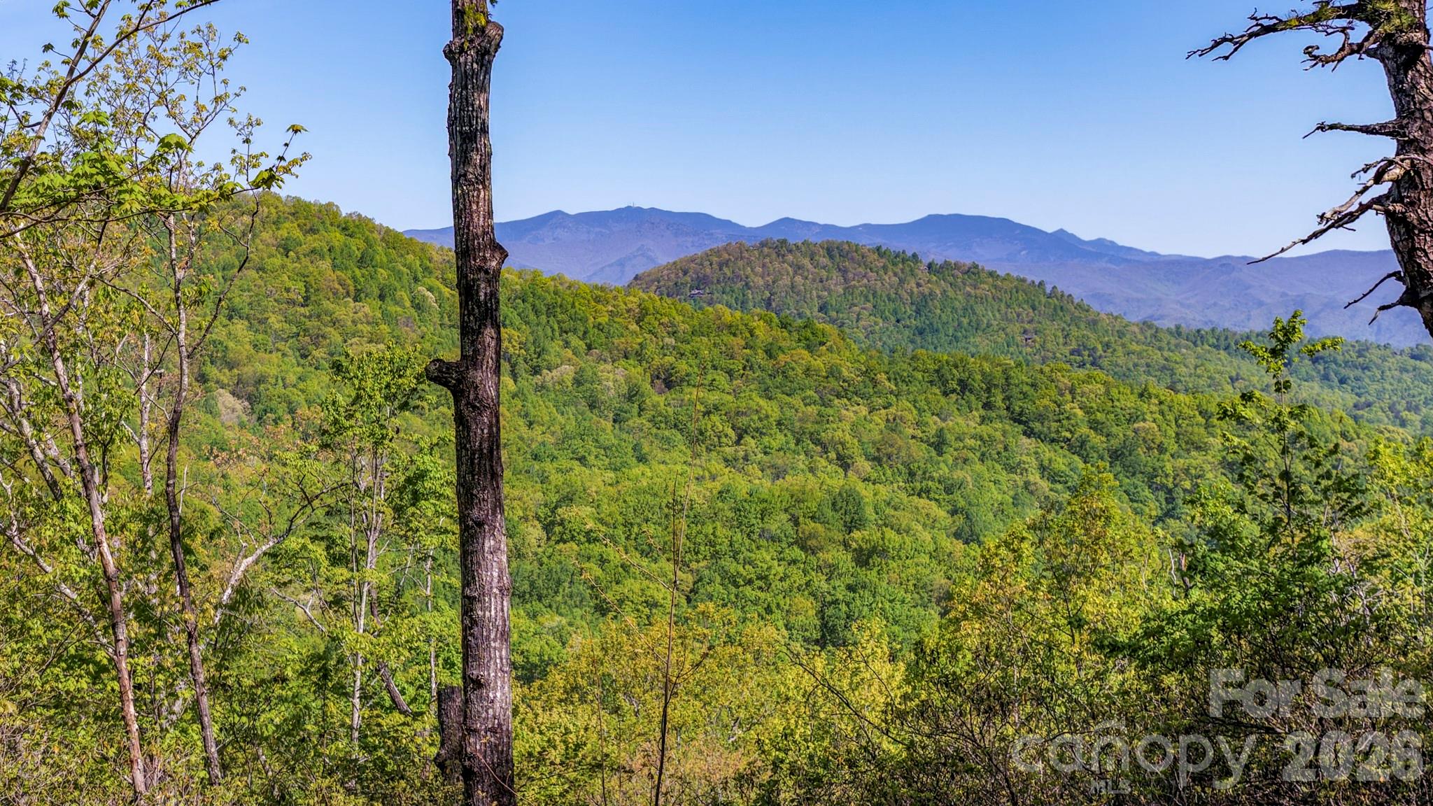 20 Laurel Cottage Lane Black Mountain NC 28711