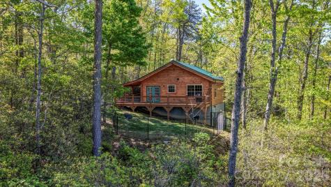 20 Laurel Cottage Lane Black Mountain NC 28711