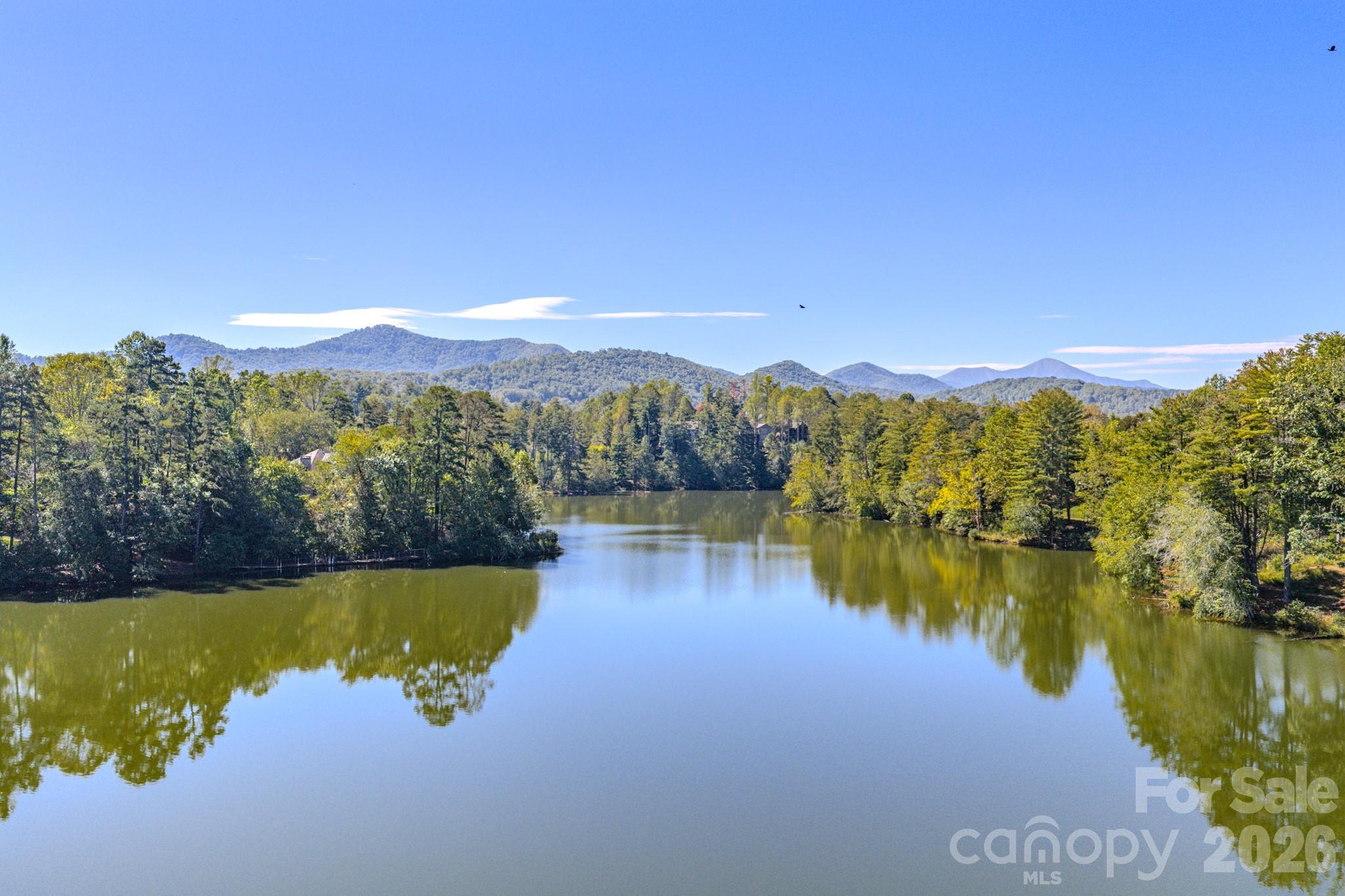 16 La Rue Court Biltmore Lake NC 28715