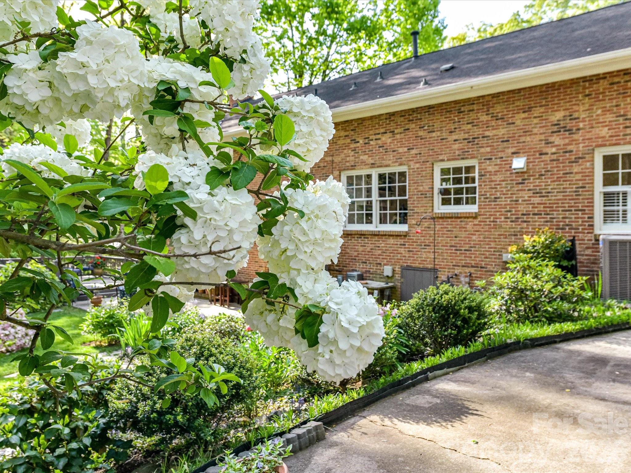 2818 Hinsdale Street Charlotte NC 28210
