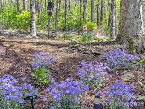 211 Rustic Road Waynesville NC 28786