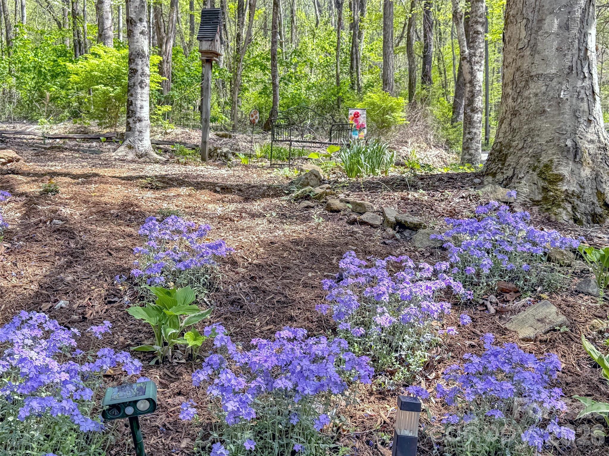 211 Rustic Road Waynesville NC 28786
