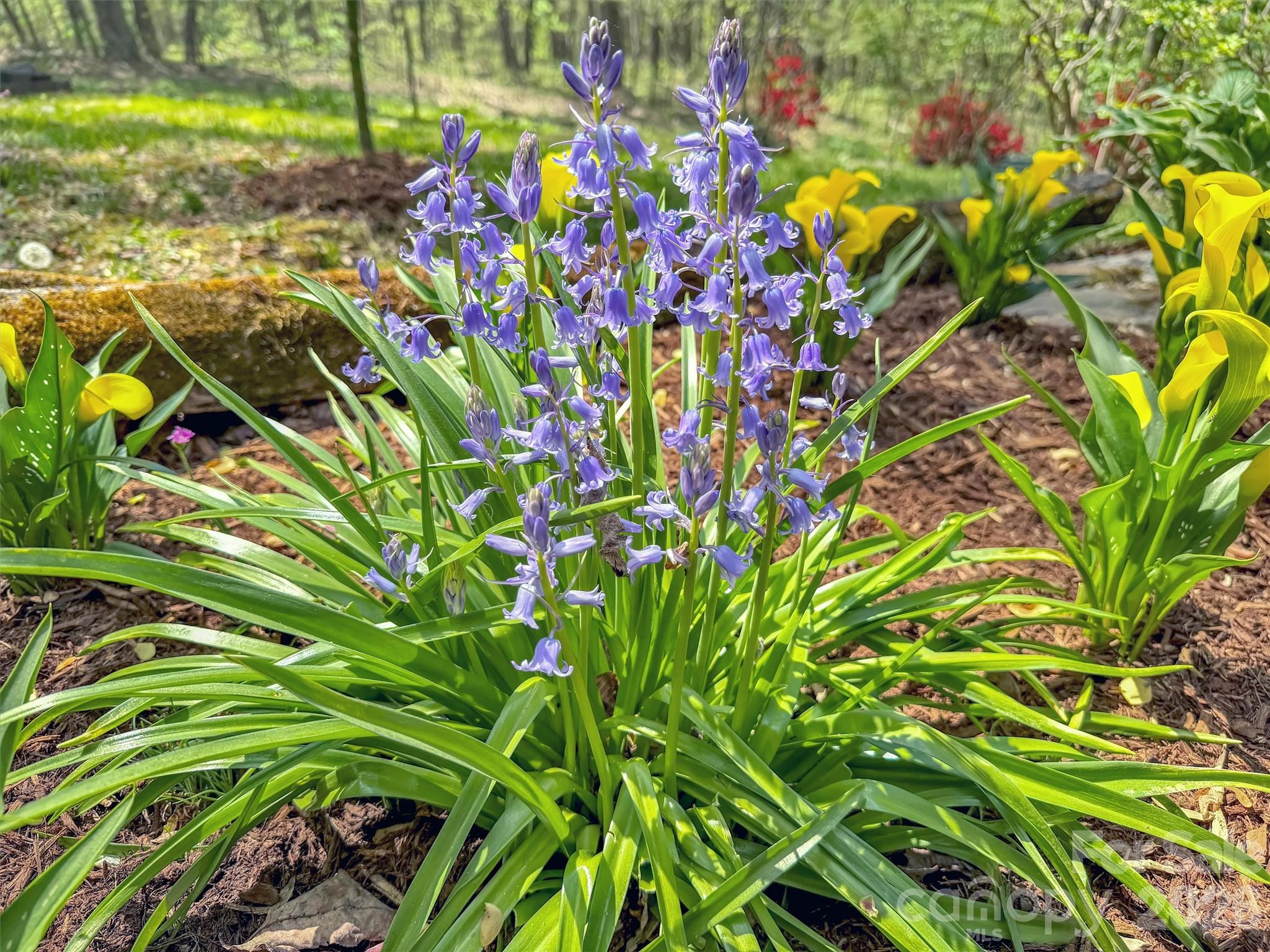 211 Rustic Road Waynesville NC 28786