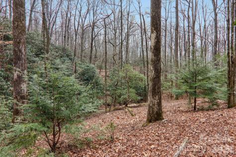 71 N Setsi Lane Brevard NC 28712