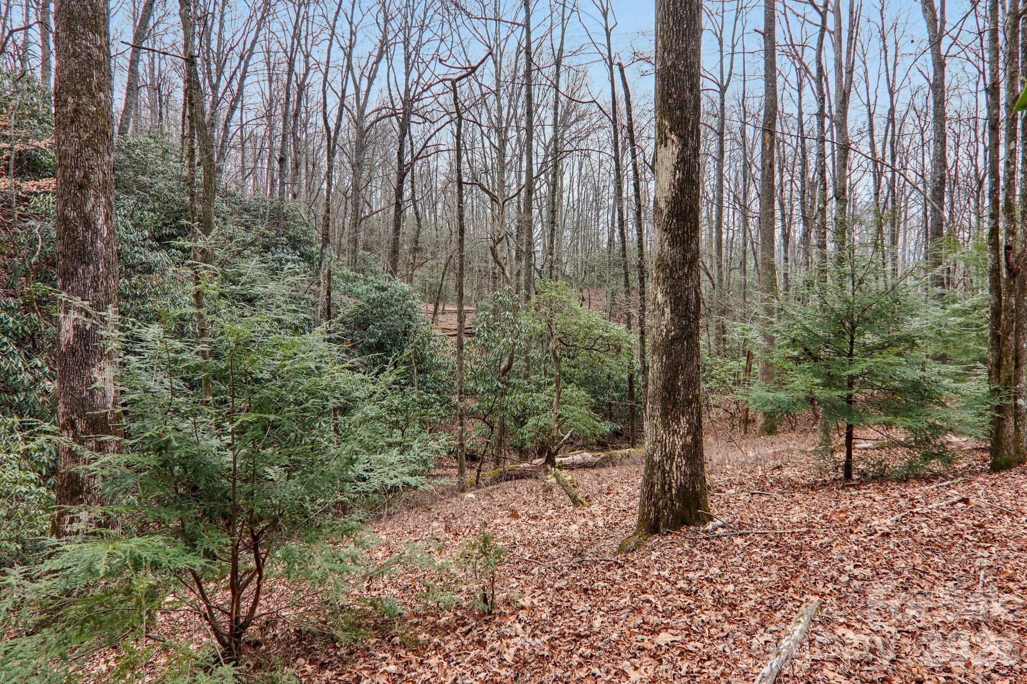 71 N Setsi Lane Brevard NC 28712
