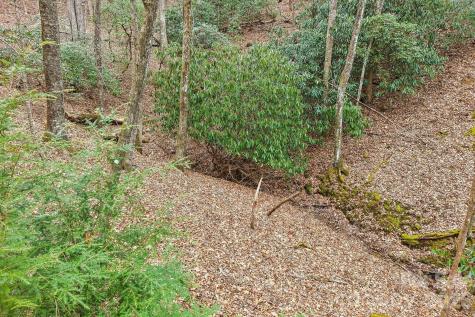 71 N Setsi Lane Brevard NC 28712