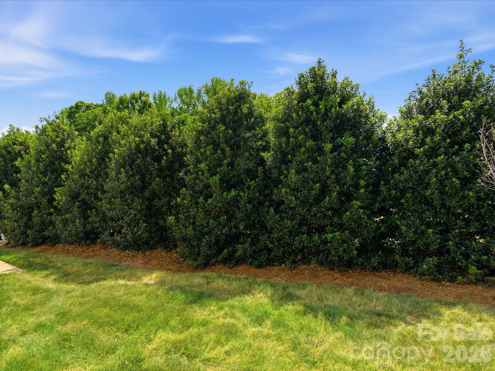 1008 Wanda Drive Matthews NC 28104