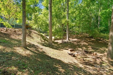 6 Woodland Road W Asheville NC 28806