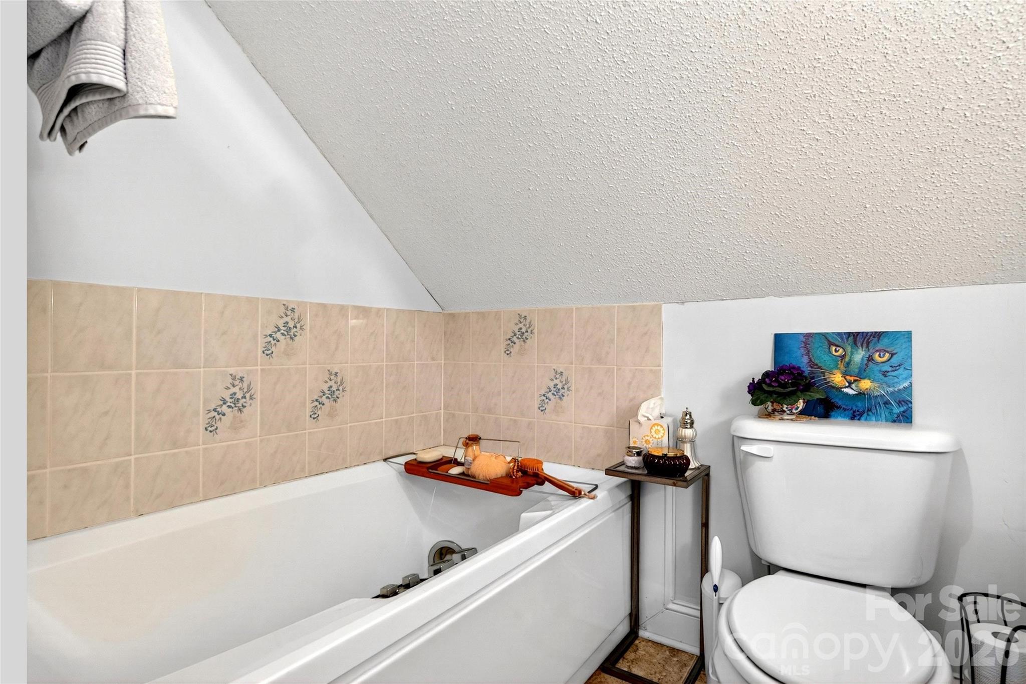 65 Deer Lane Marion NC 28752