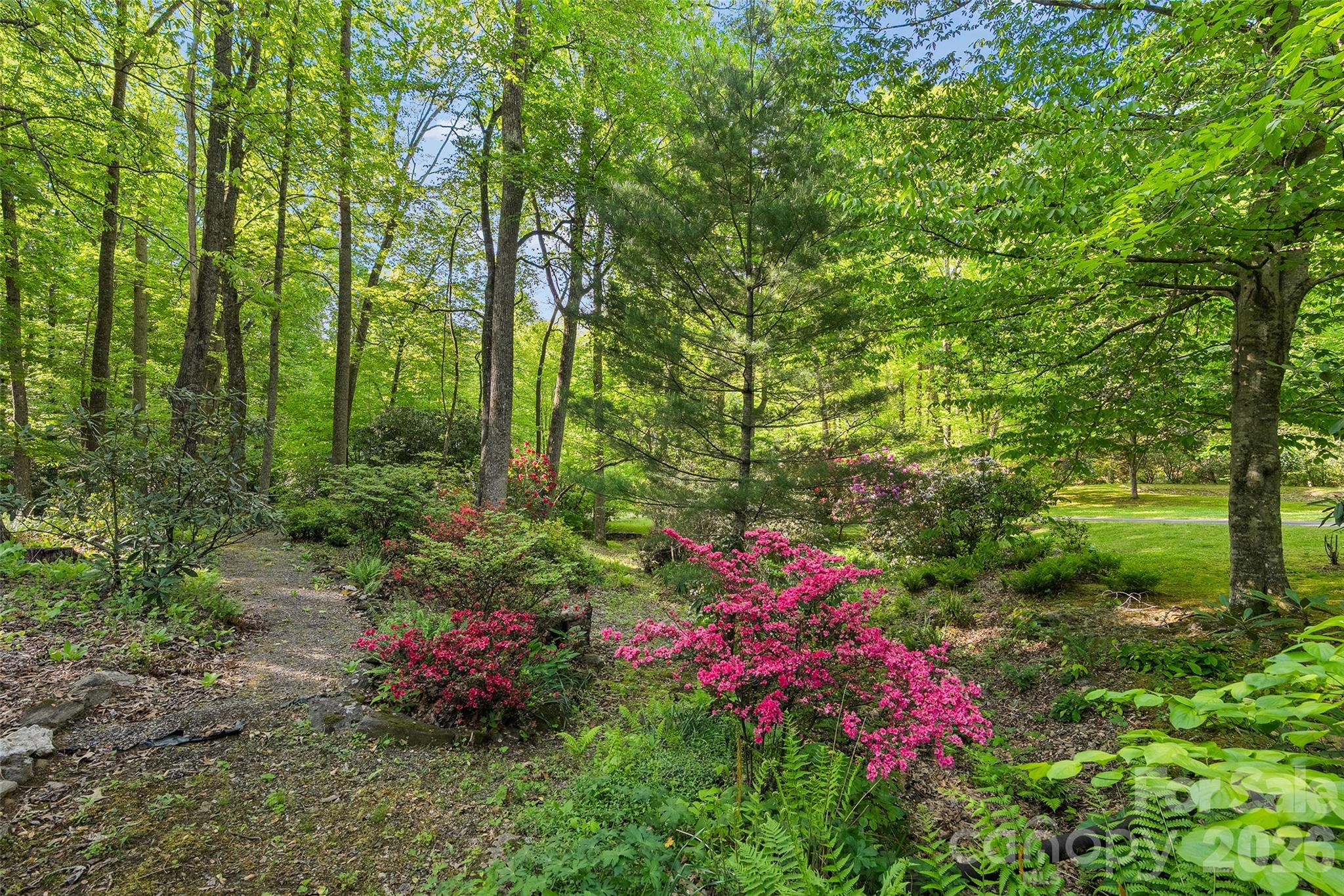 134 The Trail Maggie Valley NC 28751
