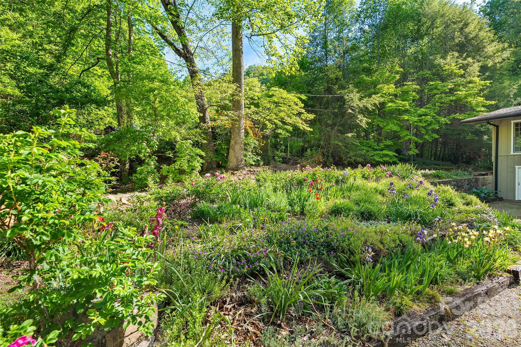134 The Trail Maggie Valley NC 28751