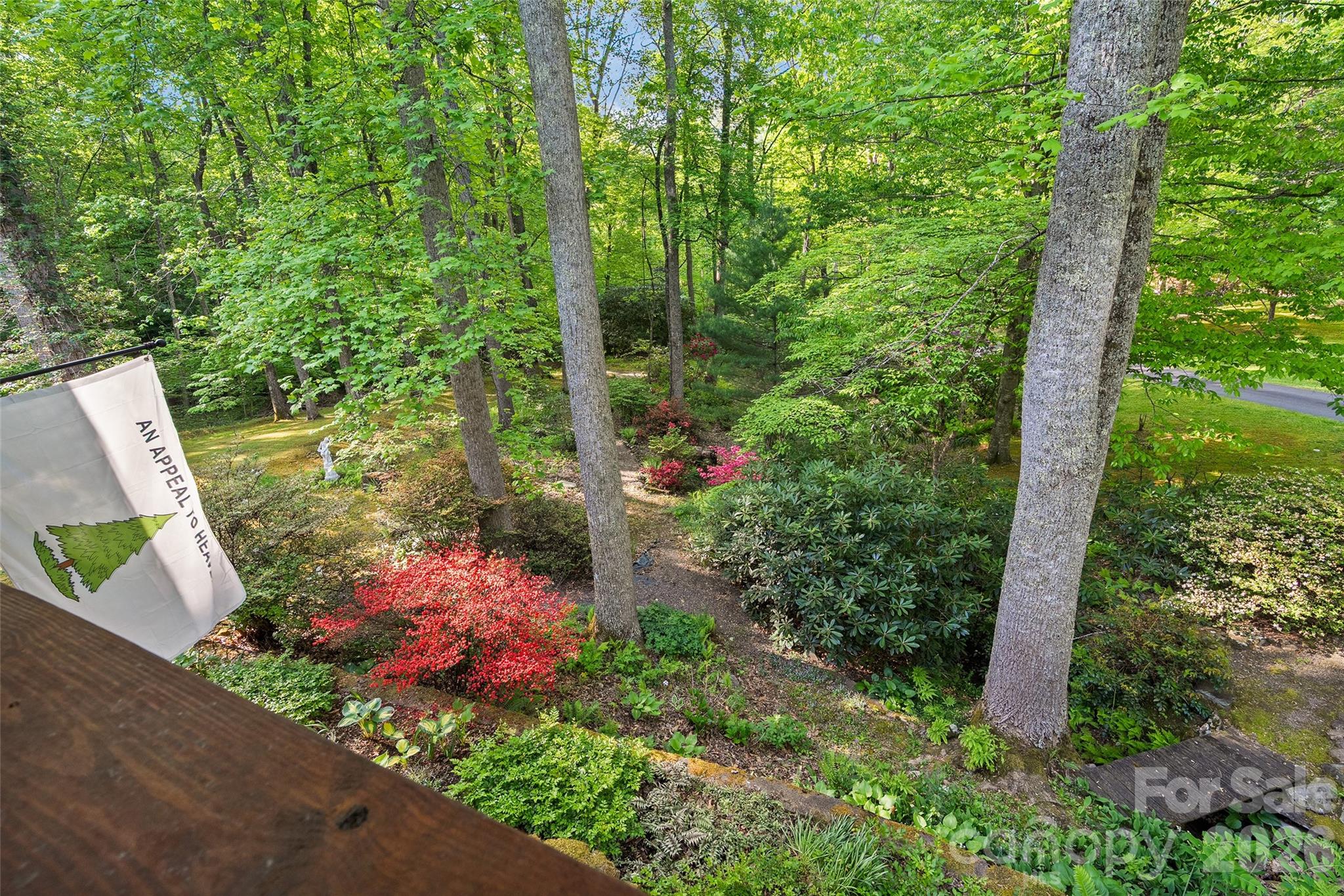 134 The Trail Maggie Valley NC 28751