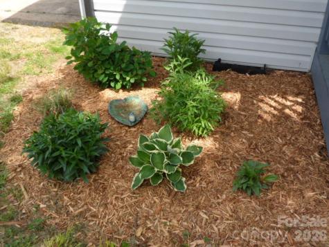244 Holly Street Hudson NC 28638