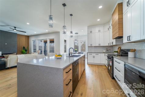 25 George Allen Ridge Arden NC 28704