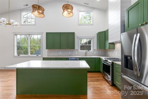 114 Unadilla Avenue Asheville NC 28803