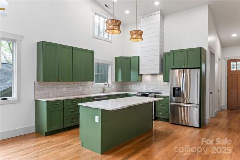 114 Unadilla Avenue Asheville NC 28803