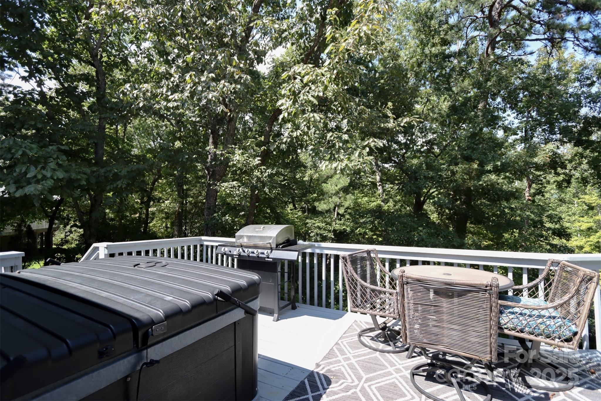 110 Lakewood Drive Lake Lure NC 28746