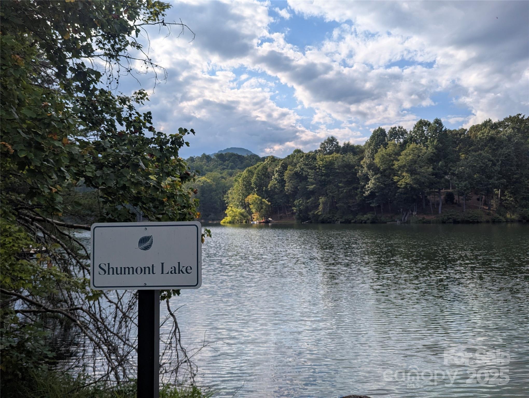 110 Lakewood Drive Lake Lure NC 28746