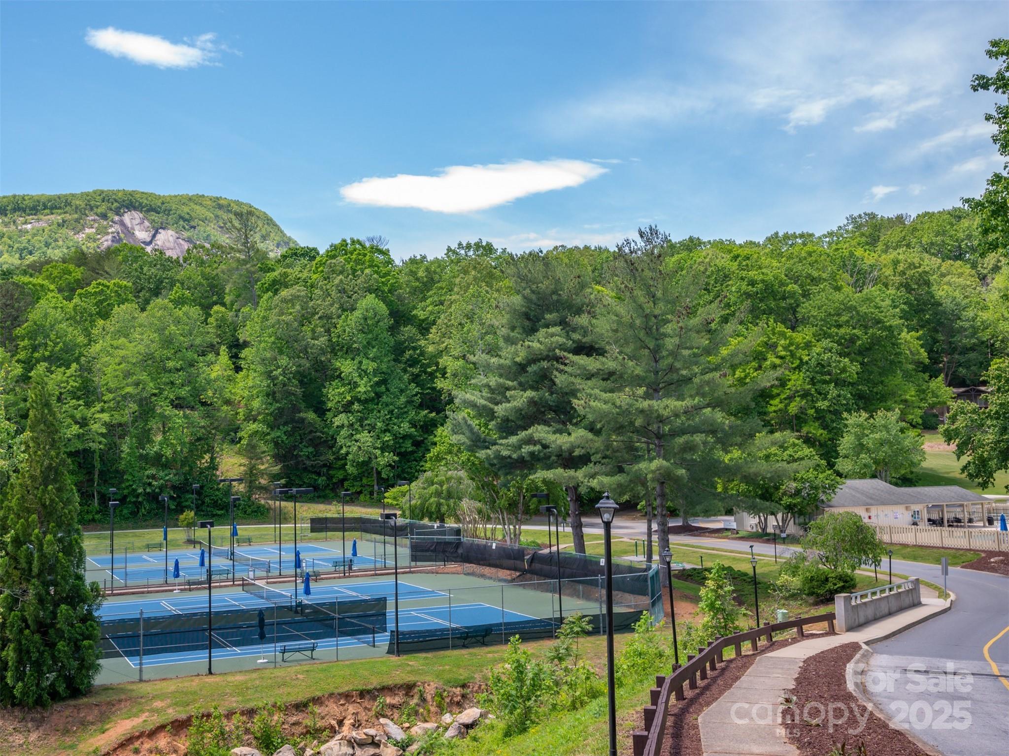 110 Lakewood Drive Lake Lure NC 28746