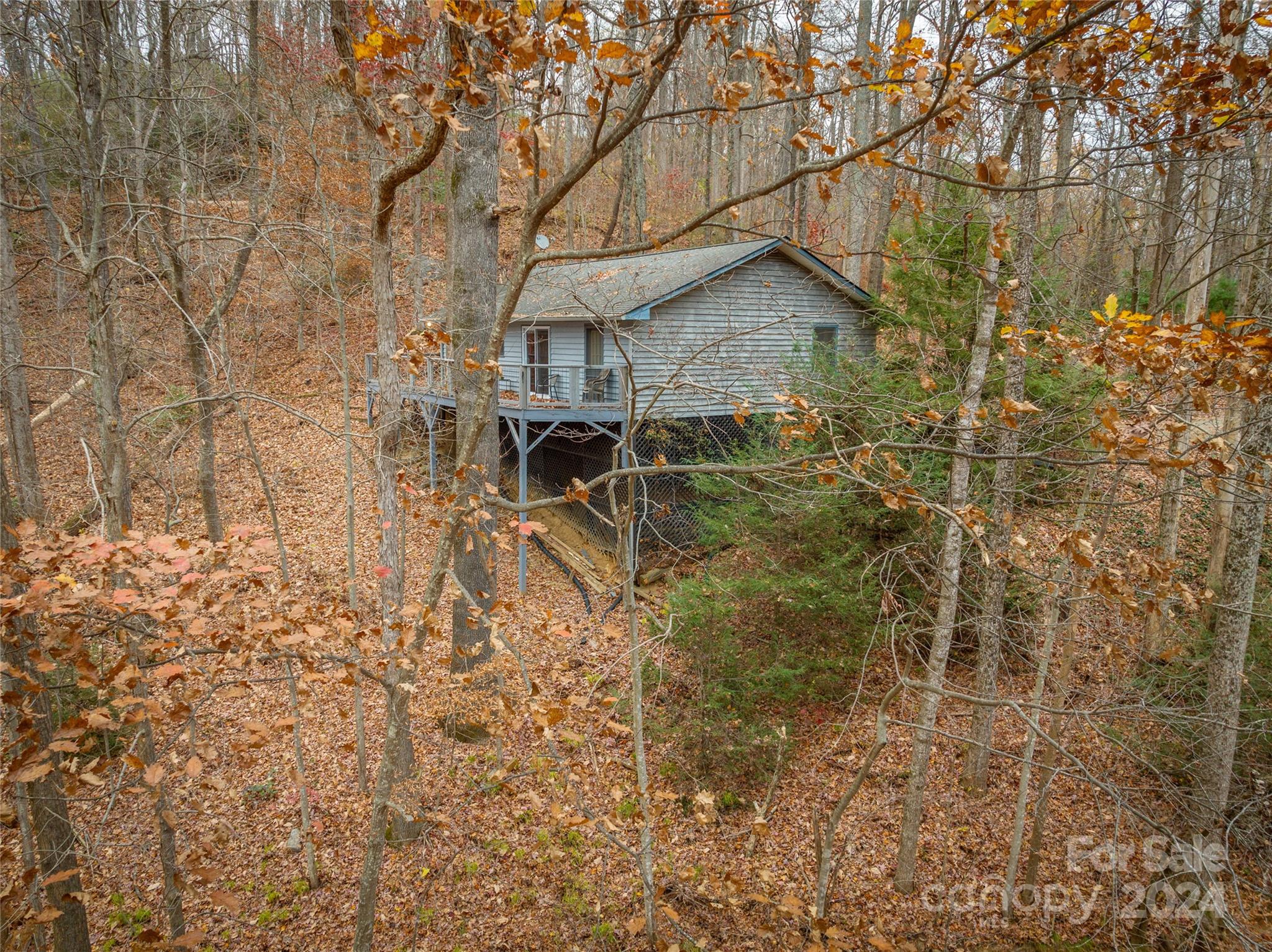 721 Bear Creek Lane Saluda NC 28773