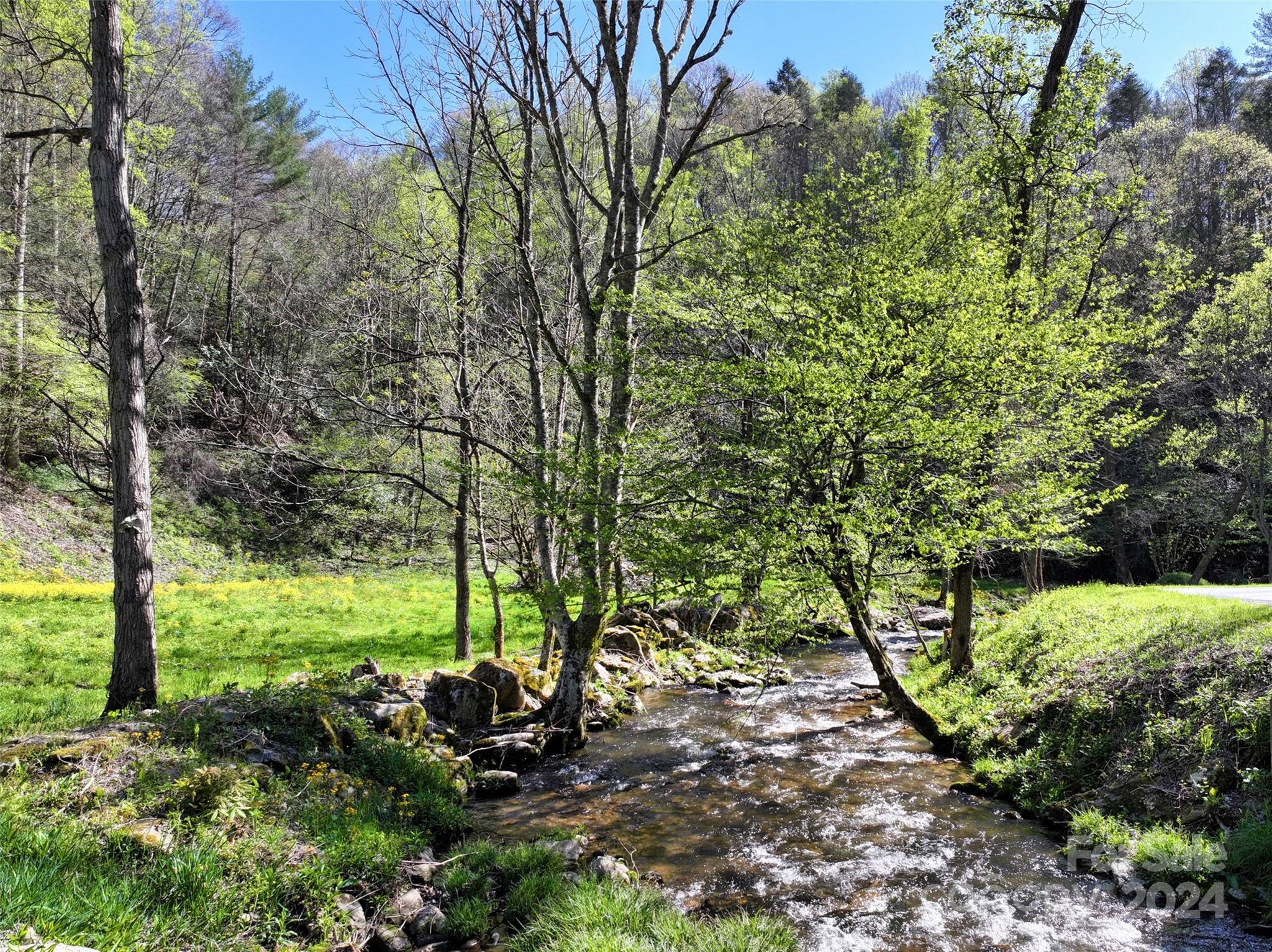 2180 Pigeon Roost Road Green Mountain NC 28740