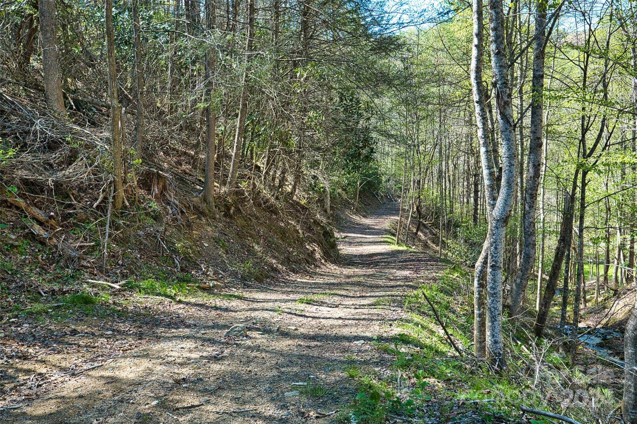 2180 Pigeon Roost Road Green Mountain NC 28740