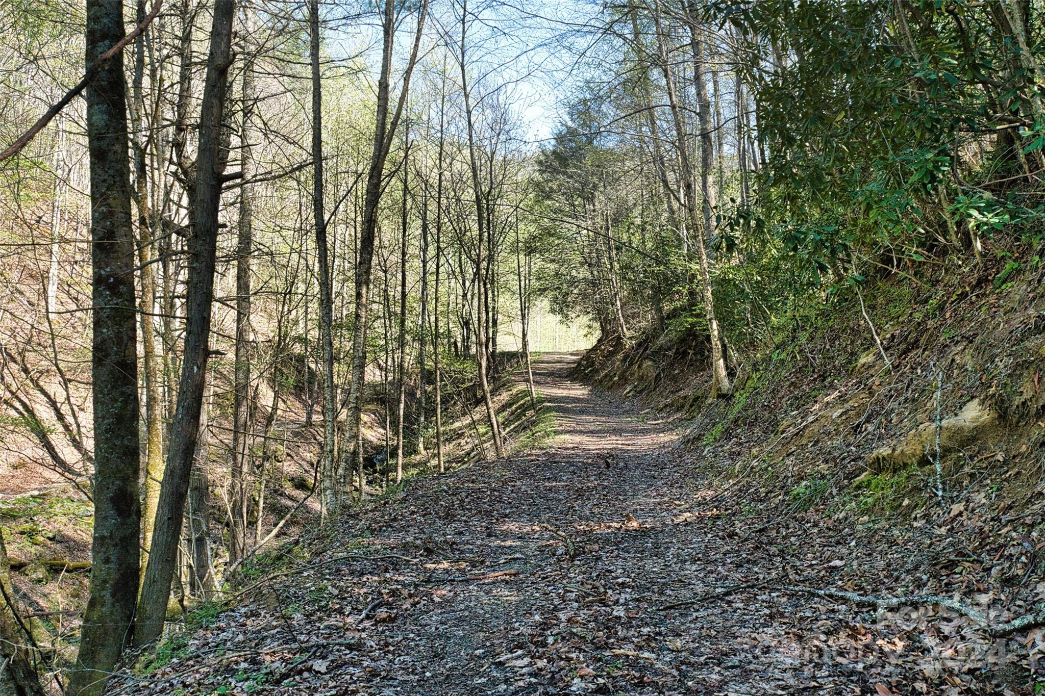 2180 Pigeon Roost Road Green Mountain NC 28740