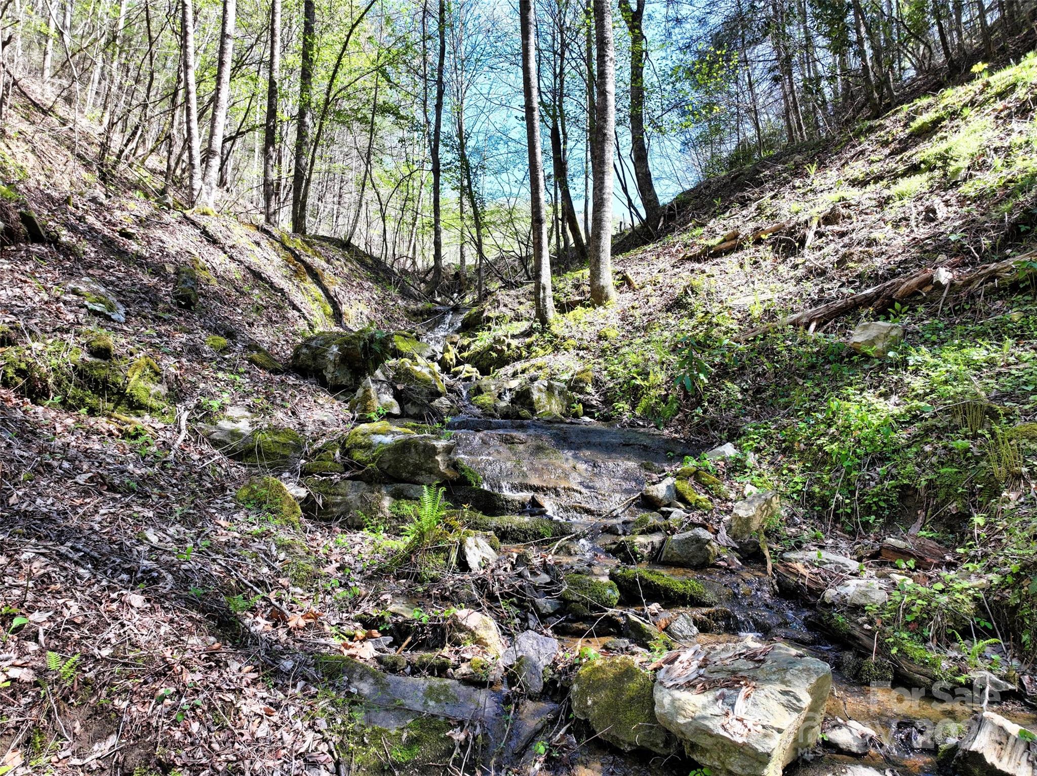 2180 Pigeon Roost Road Green Mountain NC 28740