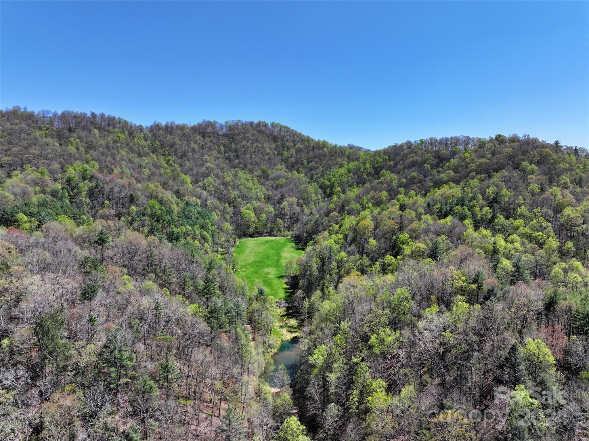 2180 Pigeon Roost Road Green Mountain NC 28740