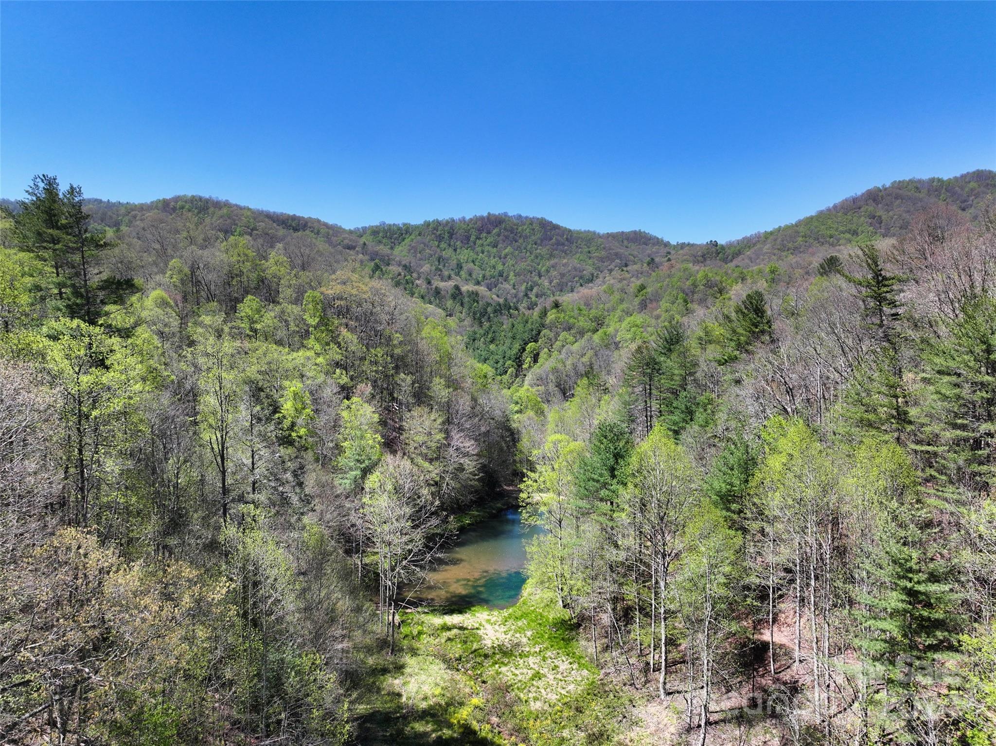 2180 Pigeon Roost Road Green Mountain NC 28740