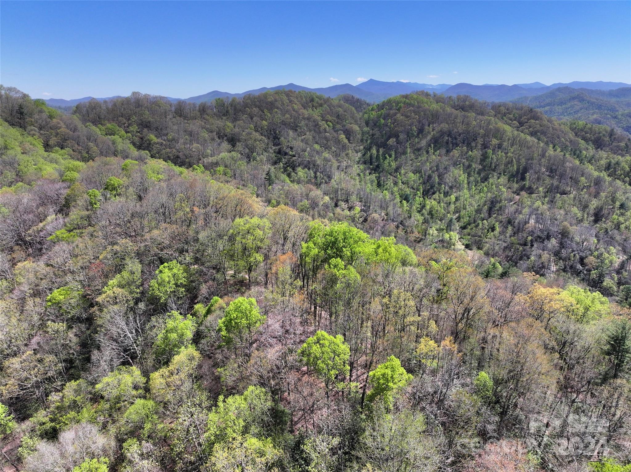 2180 Pigeon Roost Road Green Mountain NC 28740