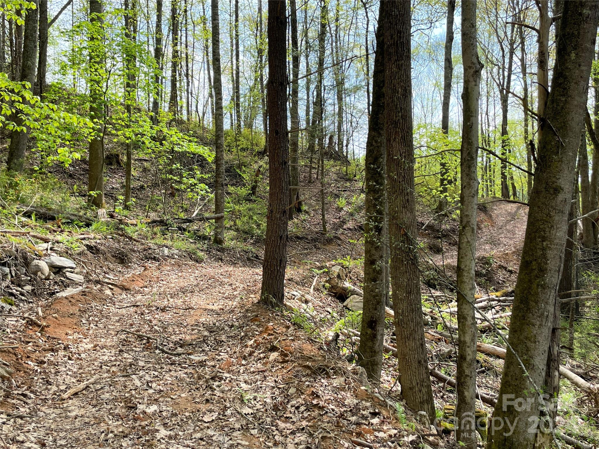 2180 Pigeon Roost Road Green Mountain NC 28740