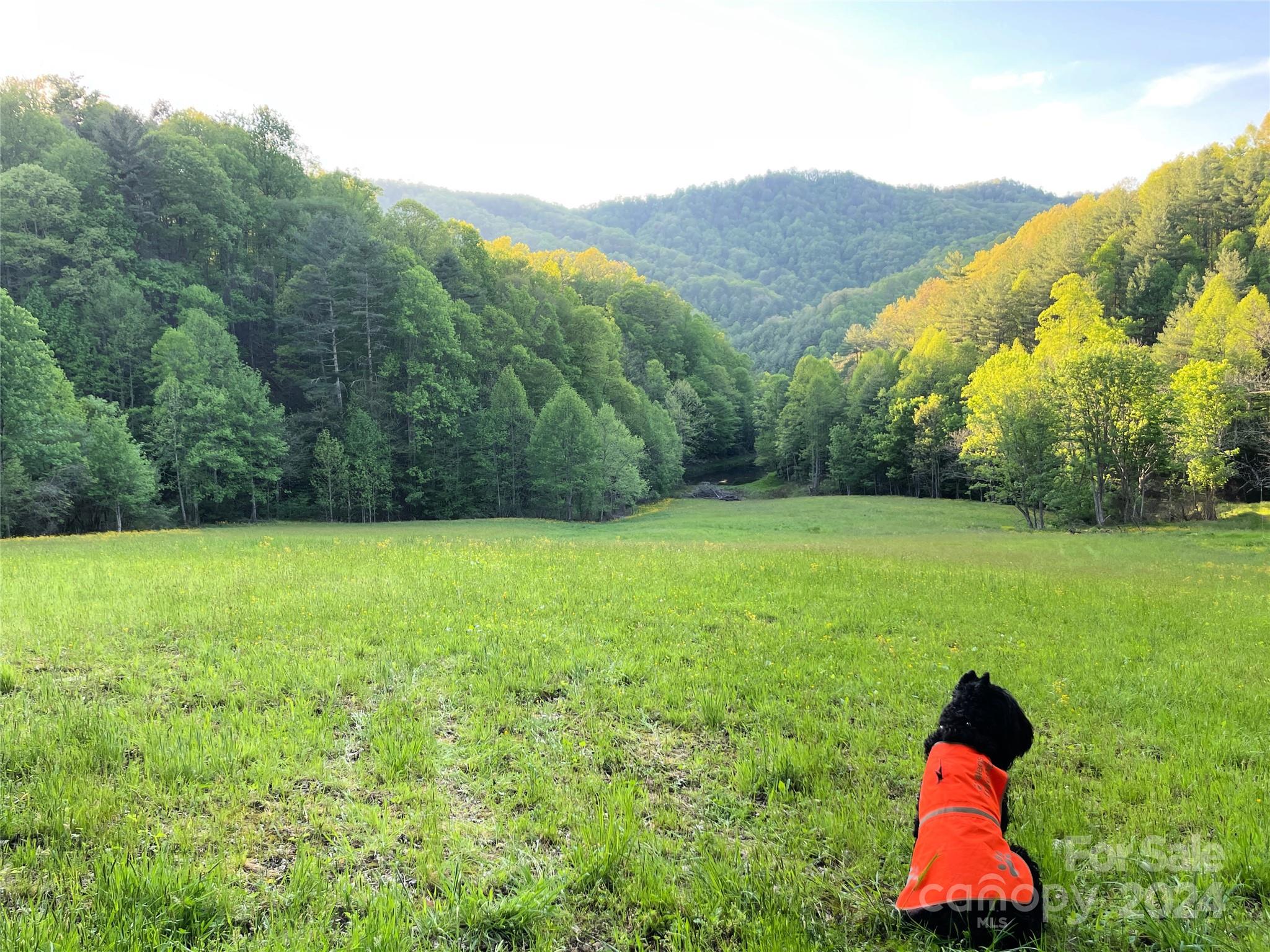 2180 Pigeon Roost Road Green Mountain NC 28740