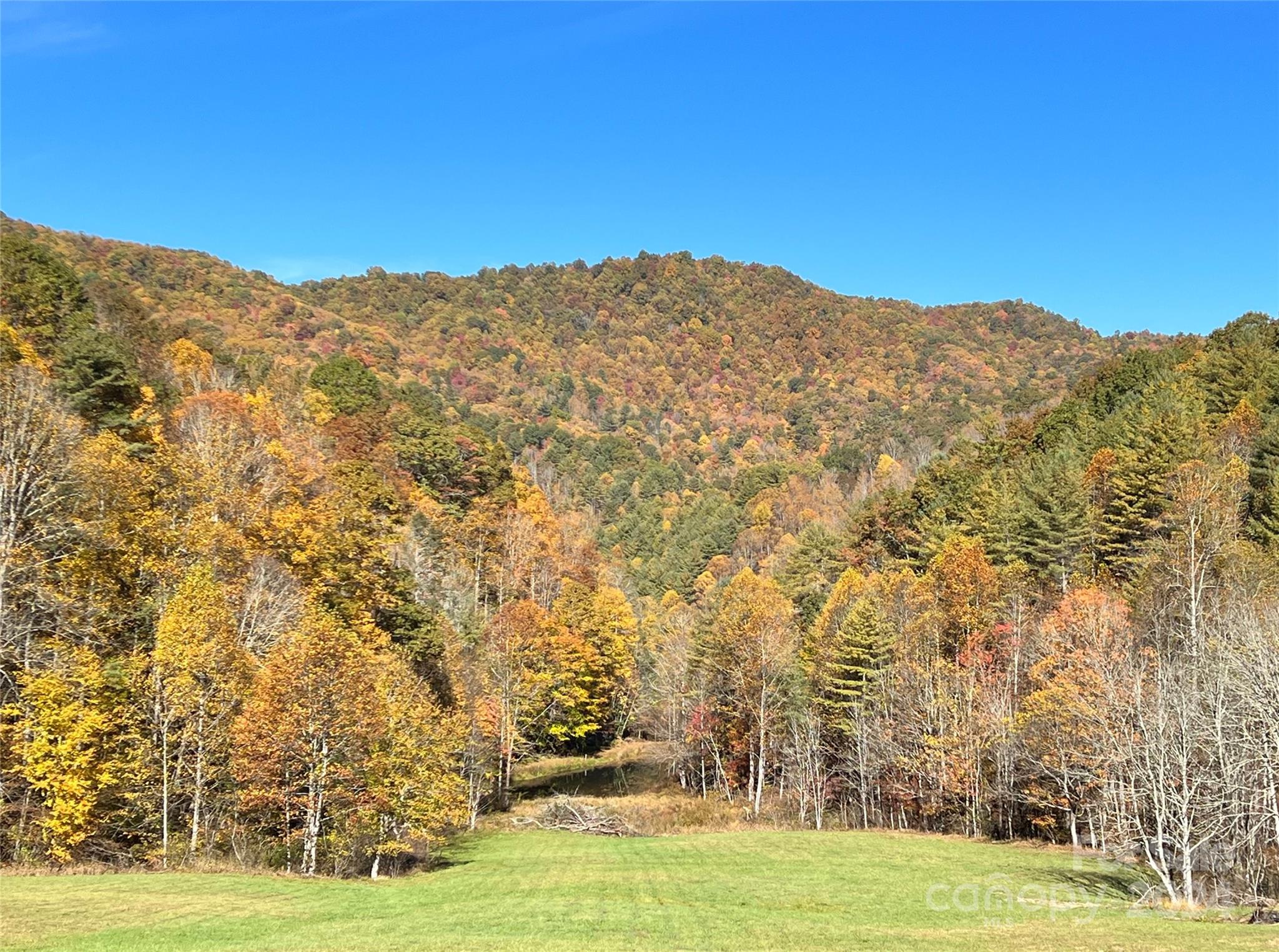 2180 Pigeon Roost Road Green Mountain NC 28740