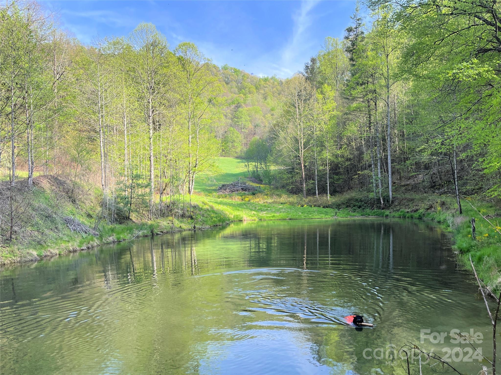 2180 Pigeon Roost Road Green Mountain NC 28740