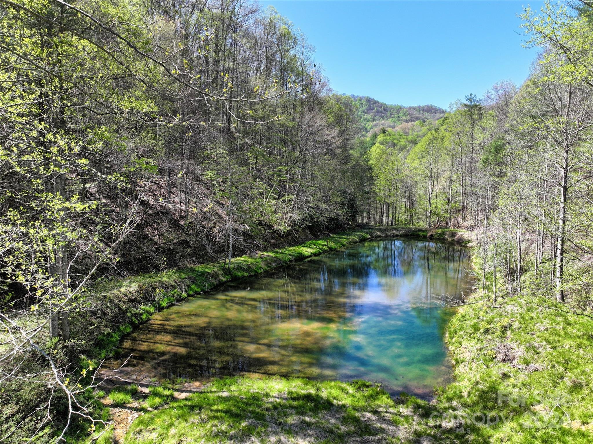 2180 Pigeon Roost Road Green Mountain NC 28740