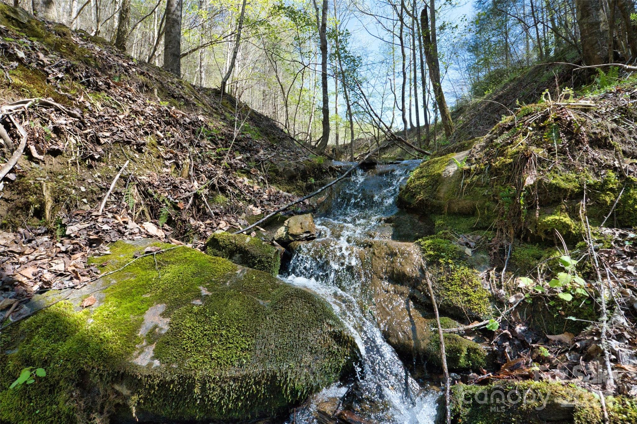 2180 Pigeon Roost Road Green Mountain NC 28740