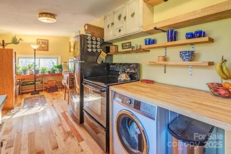 32 Merion Drive Asheville NC 28806