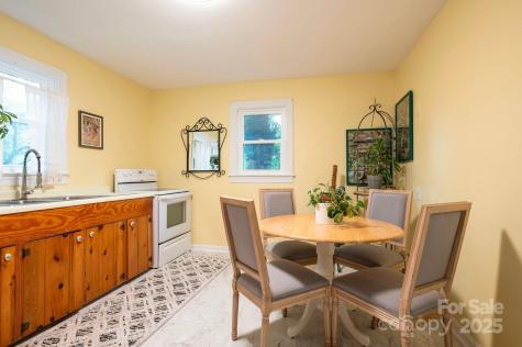 9 Linden Avenue Asheville NC 28801
