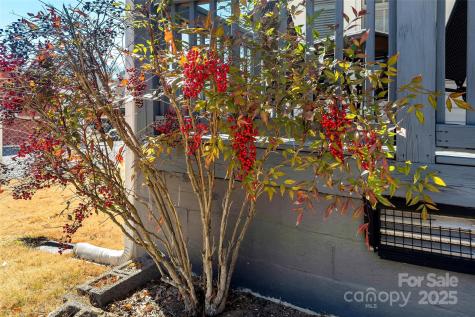 405 Hiawassee Avenue Black Mountain NC 28711
