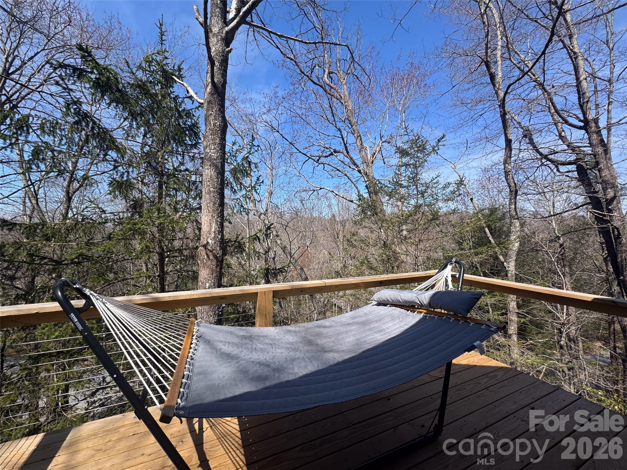 31 Elseetos Drive Brevard NC 28712