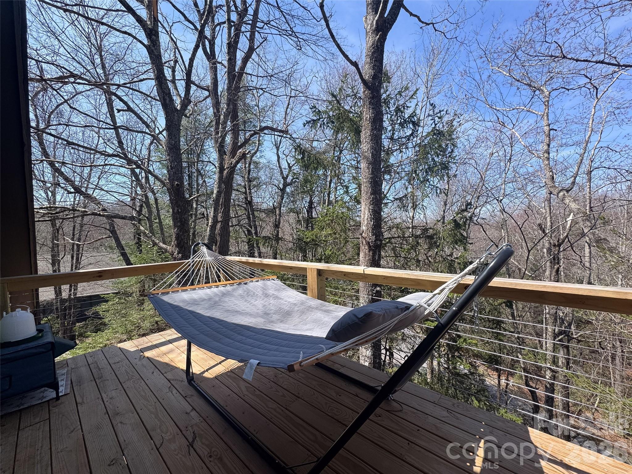 31 Elseetos Drive Brevard NC 28712