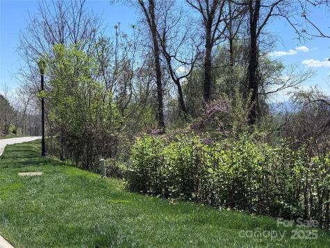 44 Samuel Ashe Drive Asheville NC 28805